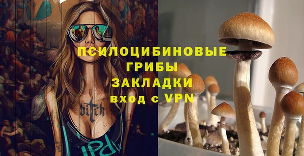 метадон Лагань